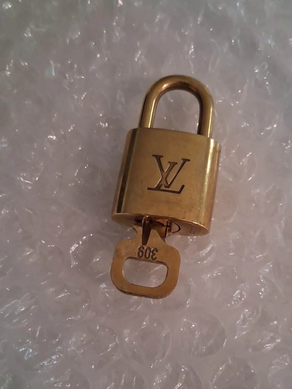 Louis Vuitton lv #309